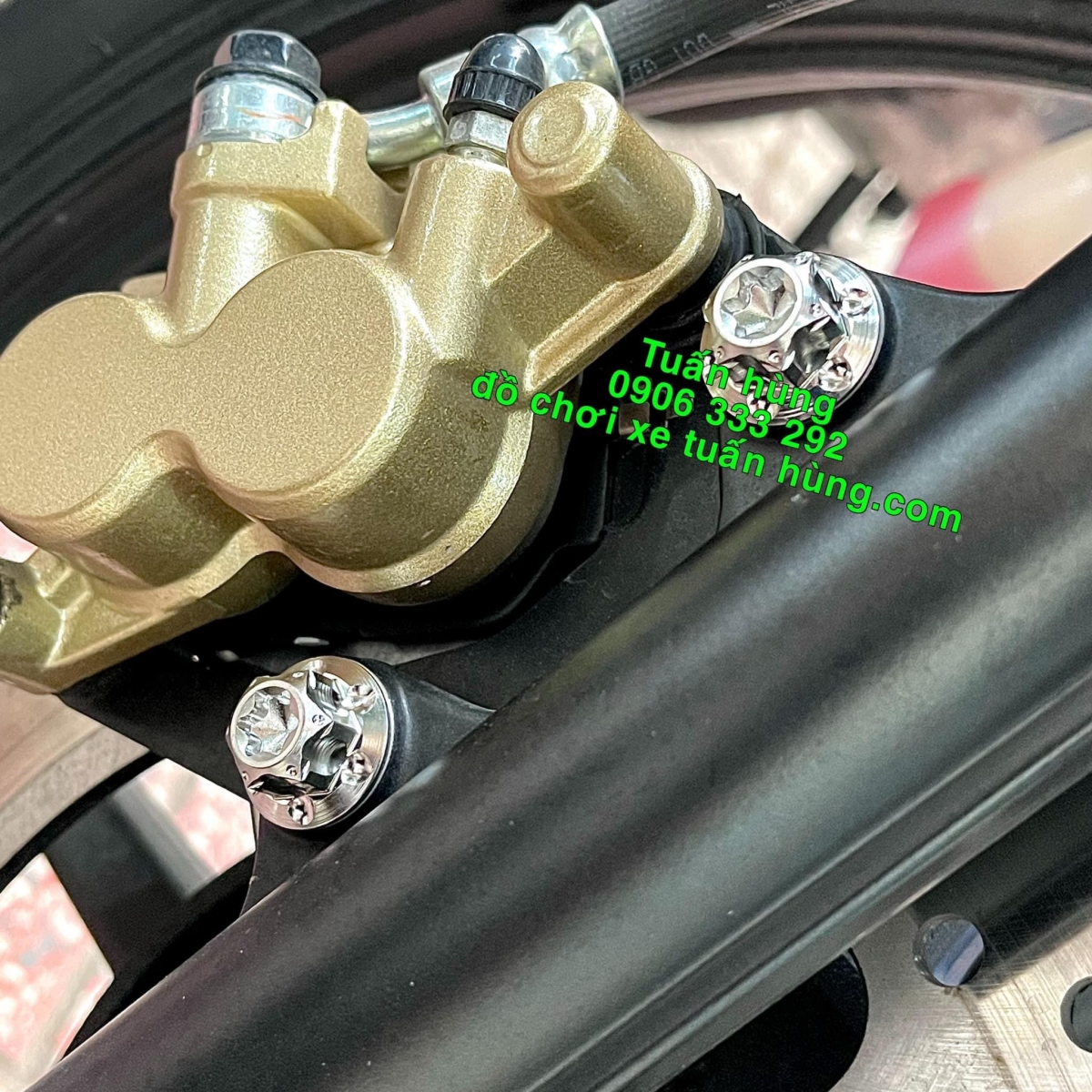 Ốc Salaya Heo Dầu 8Li, 10Li Gắn Xe Máy HONDA YAMAHA